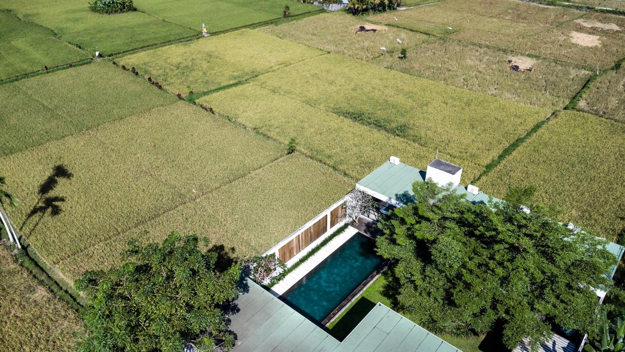 Loft Matahari By Balisuperhost Villa Ubud Exteriör bild
